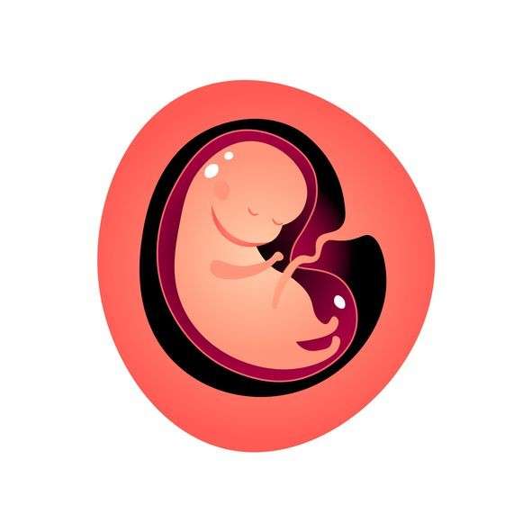 تخمک گذاری + معرفی 20 فوق تخصص زنان در تهران