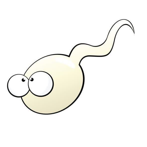 ناباروری + مراجعه به فوق تخصص زنان