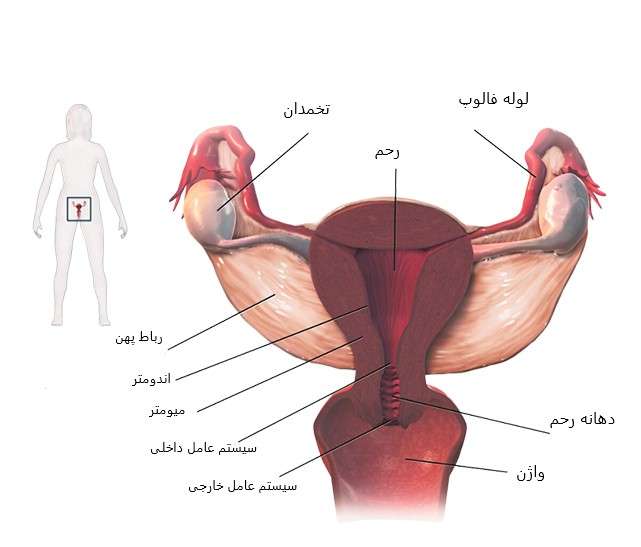 دلایل اصلی لخته شدن خون پریود چیست