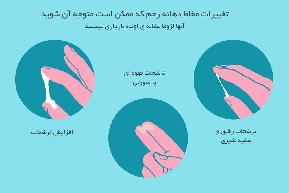 مخاط دهانه رحم