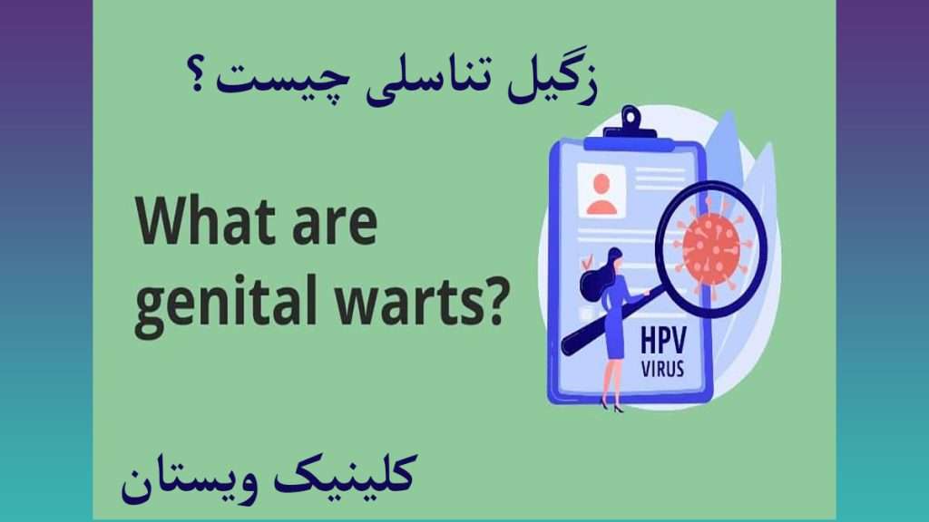نوشته درباره زگیل تناسلی چیست؟