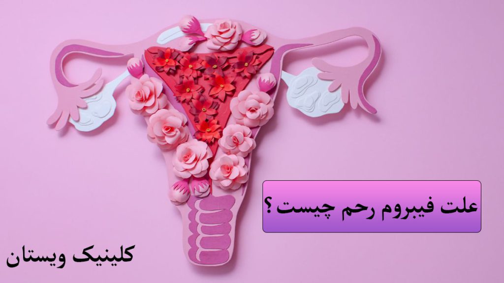 بیماری های رحم همراه با تصویری از رحم نمایش داده می شود