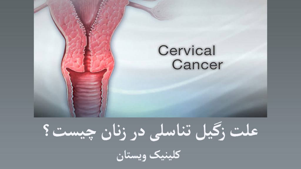 تصویری دیجیتالی از یک ناحیه تناسلی