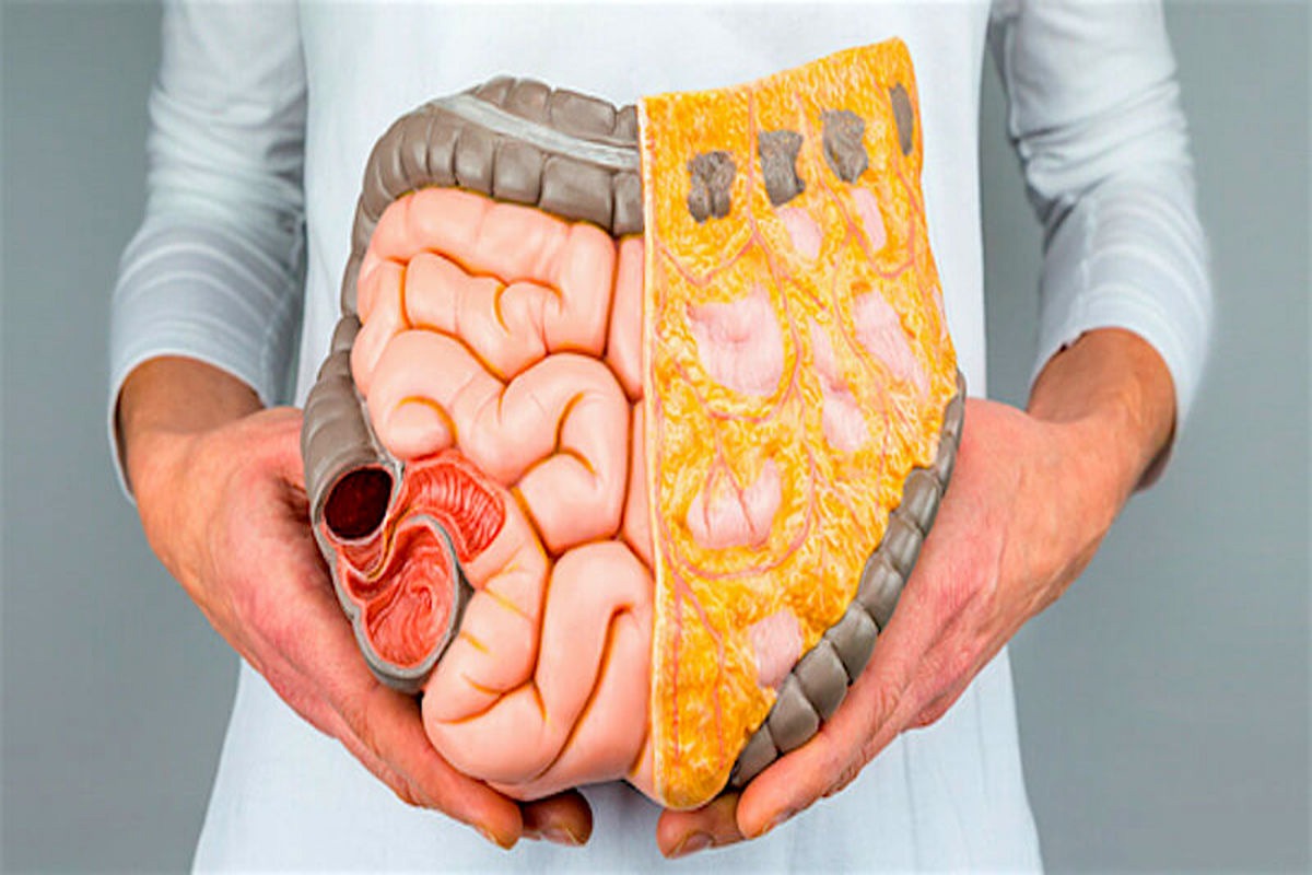 تنبلی روده افزایش حجم مدفوع و تسهیل حرکت روده