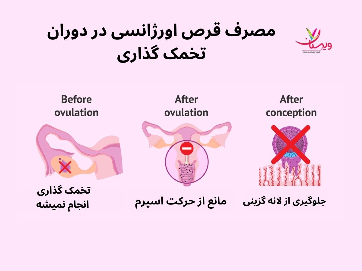 مصرف قرص اورژانسی در دوران تخمک گذاری