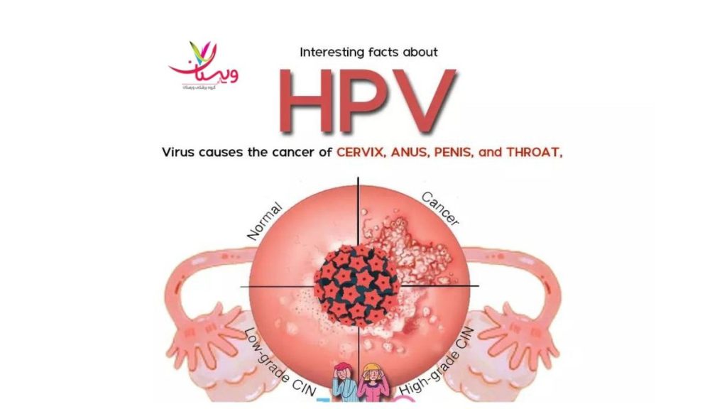 ویروس پاپیلومای انسانی دشمن زگیل تناسلی HPV و راههای مقابله با آن چیست
