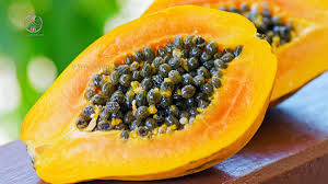 میوه برای ورم معده
