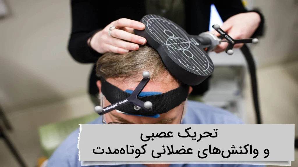  تحریک عصبی و واکنش‌های عضلانی کوتاه‌مدت