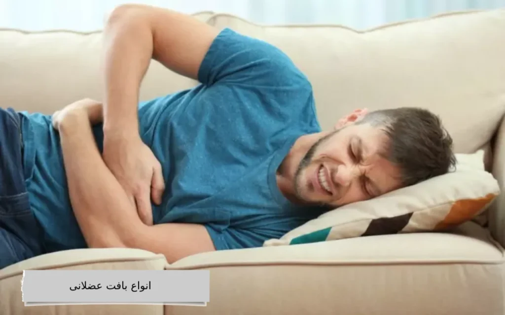 انواع بافت عضلانی انواع بافت عضلانی