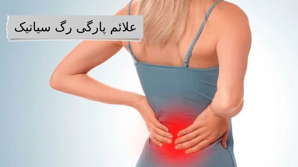 رگ سیاتیک: بزرگراه عصبی بدن شما!