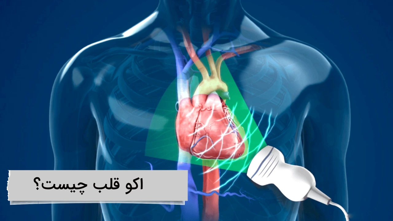 اکو قلب