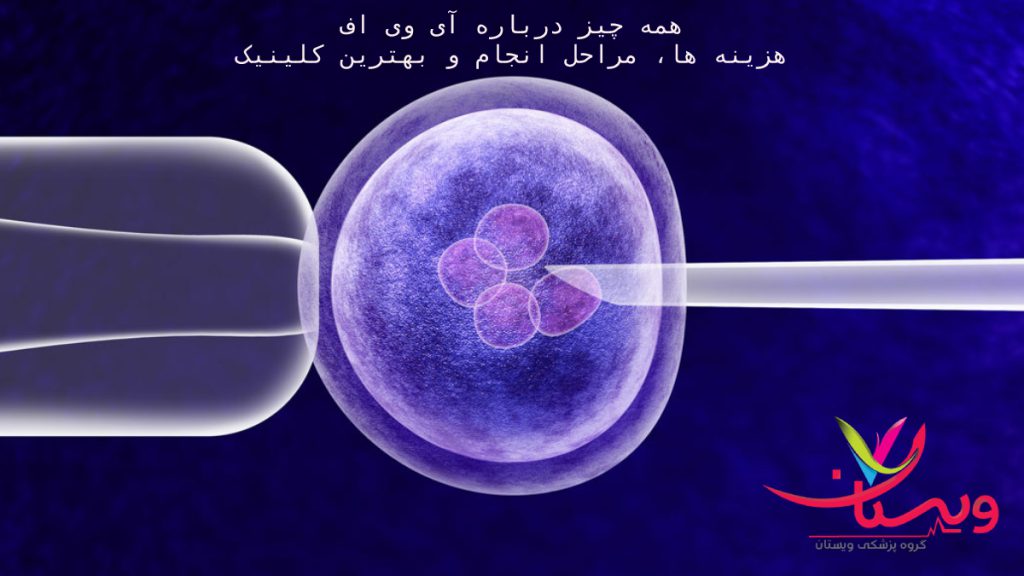 آی وی اف چیست؟ تصویری از تزریق اسپرم درون تخمک در لقاح آزمایشگاهی