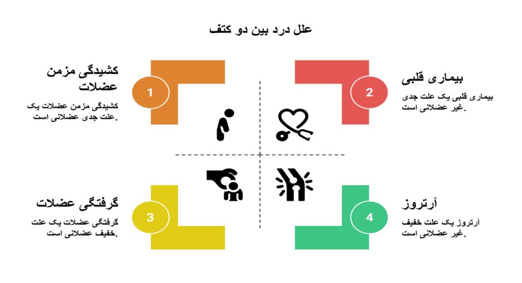 علل رایج درد بین دو کتف علل رایج درد بین دو کتف