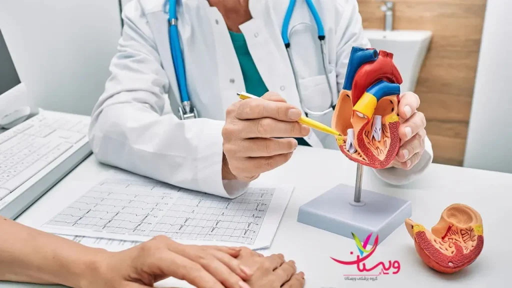 آناتومی قلب متخصصان سکته قلبی در کلینیک ویستان